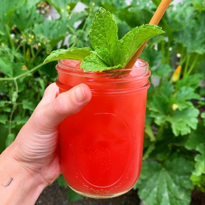 Watermelon Mint Margarita