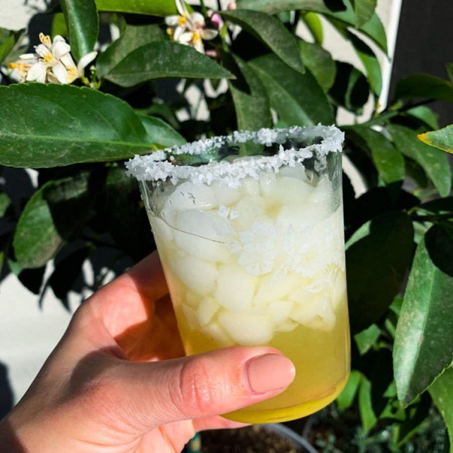 Spicy Mixed Citrus Margarita