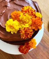 Vegan and Gluten-Free Chocolate Espresso Cake