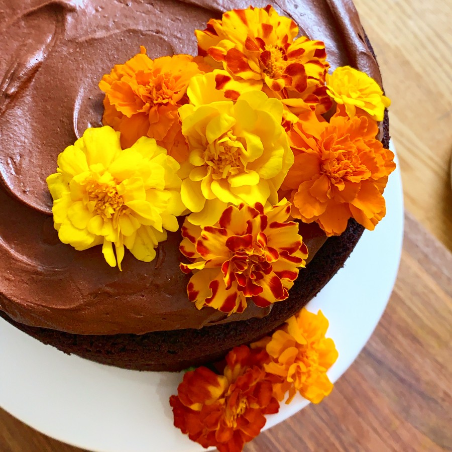 Vegan and Gluten-Free Chocolate Espresso Cake