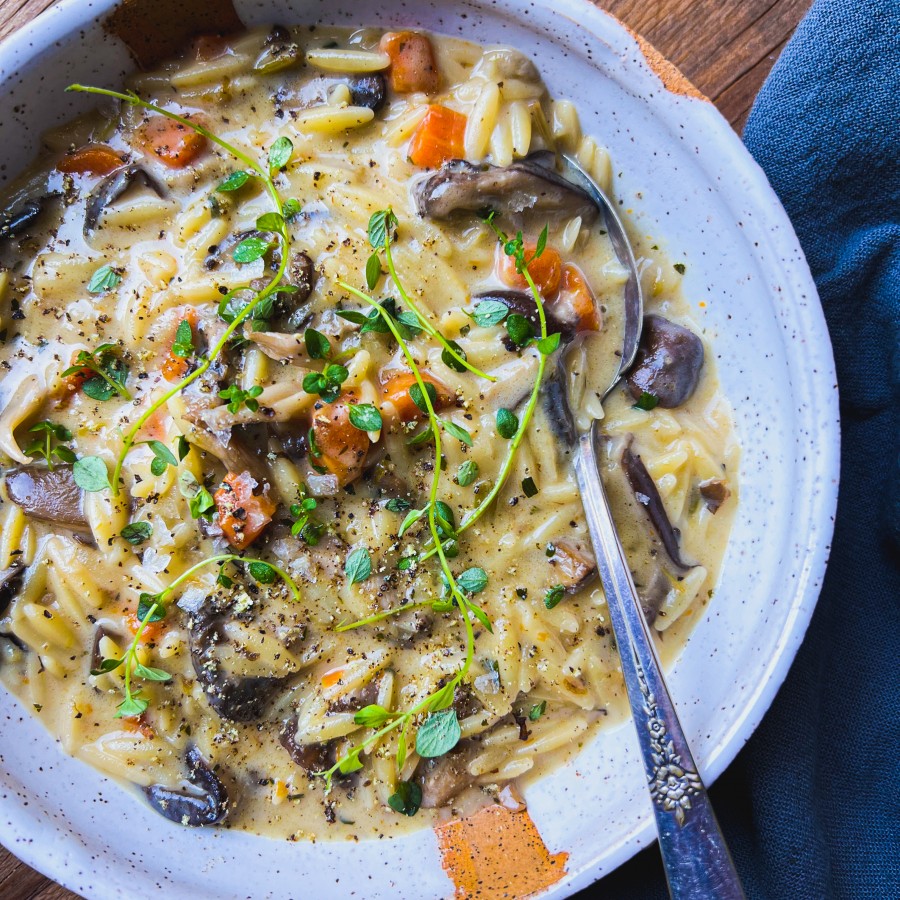 Creamy Mushroom and Orzo Soup